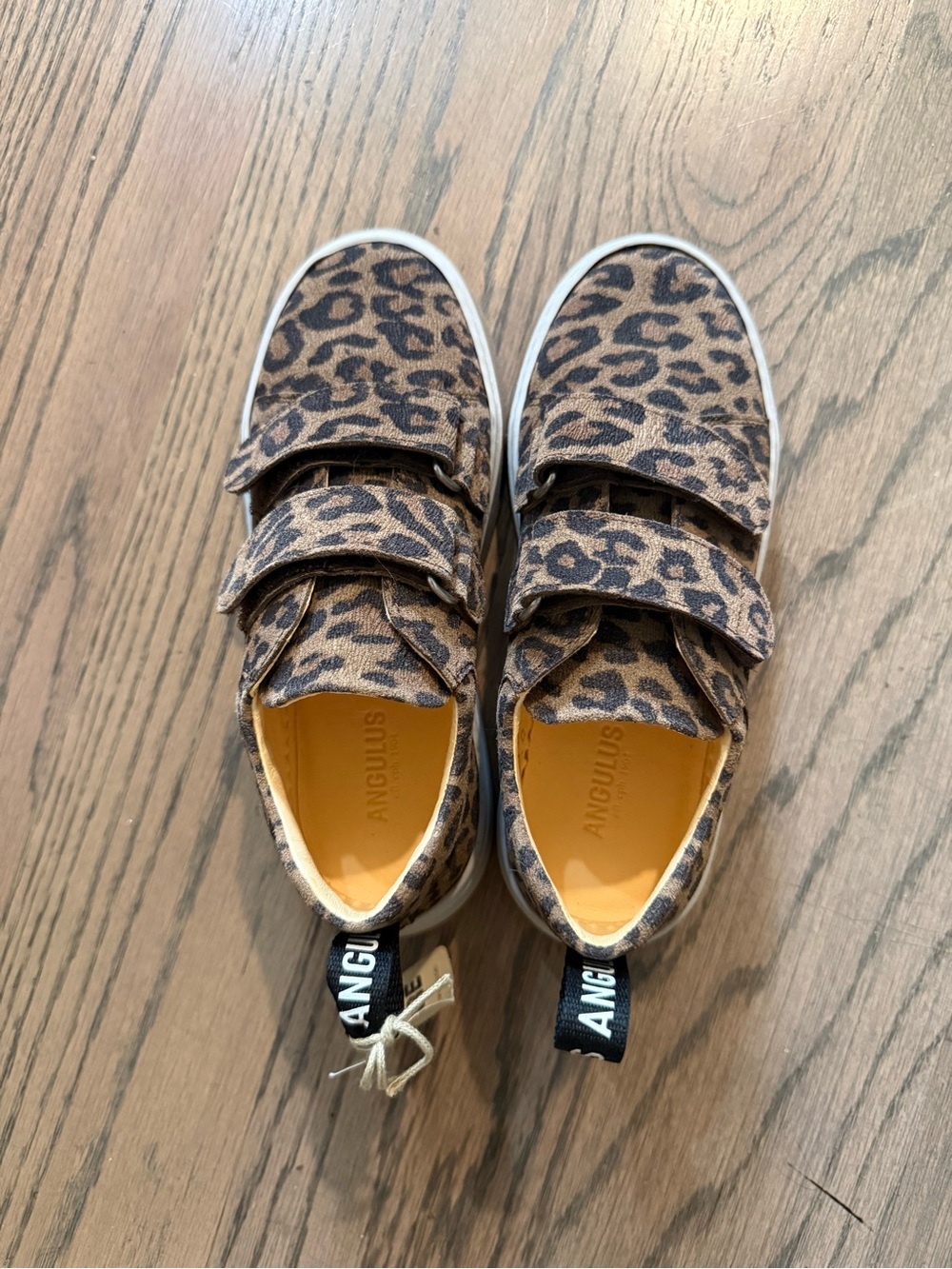 Angulus Kids Leopard Print Velcro Sneakers - Brown